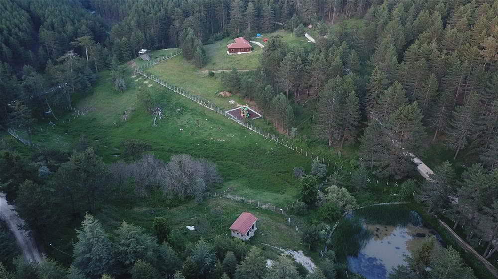 Çatacık Orman İçi Dinlenme Yeri