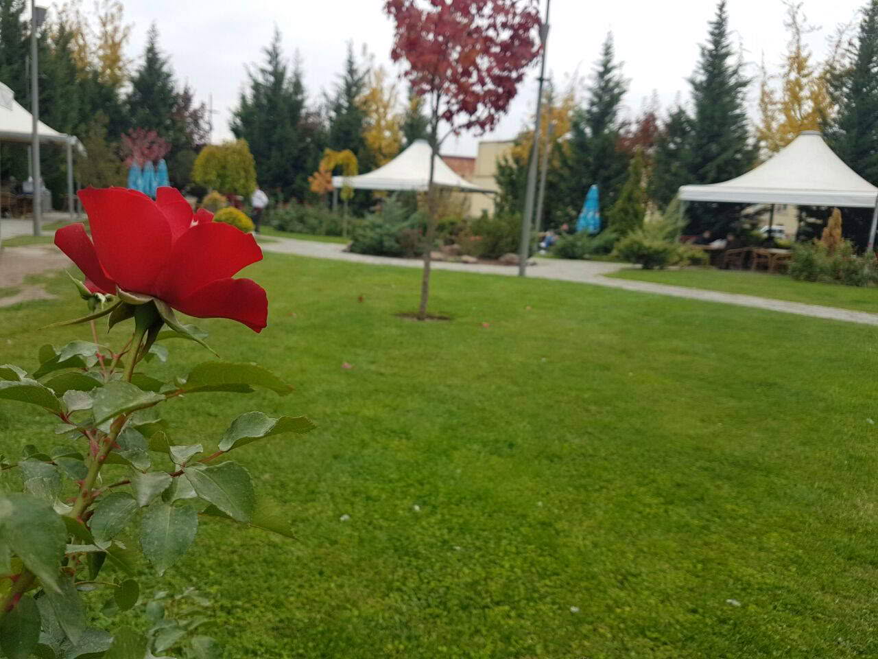 Lületaşı Sanat Merkezi Çukur Çarşı