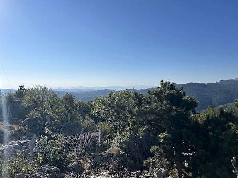 Bozkuş Yangın Gözetleme Kulesi