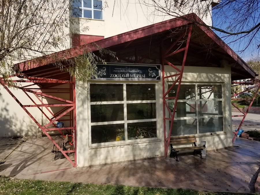 Osmangazi Üniversitesi Zooloji Müzesi