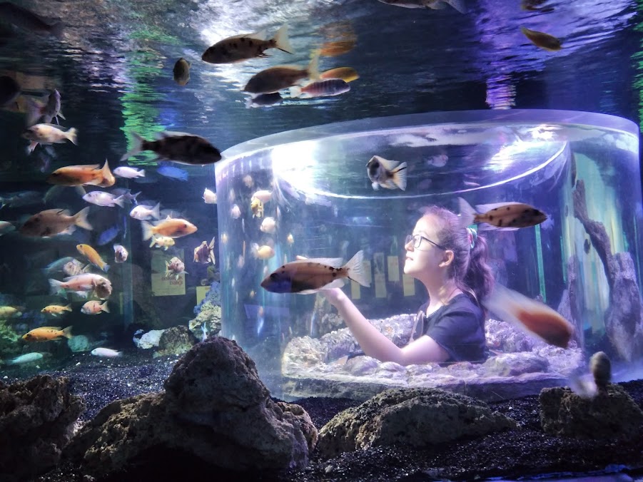 ETİ Su Altı Dünyası